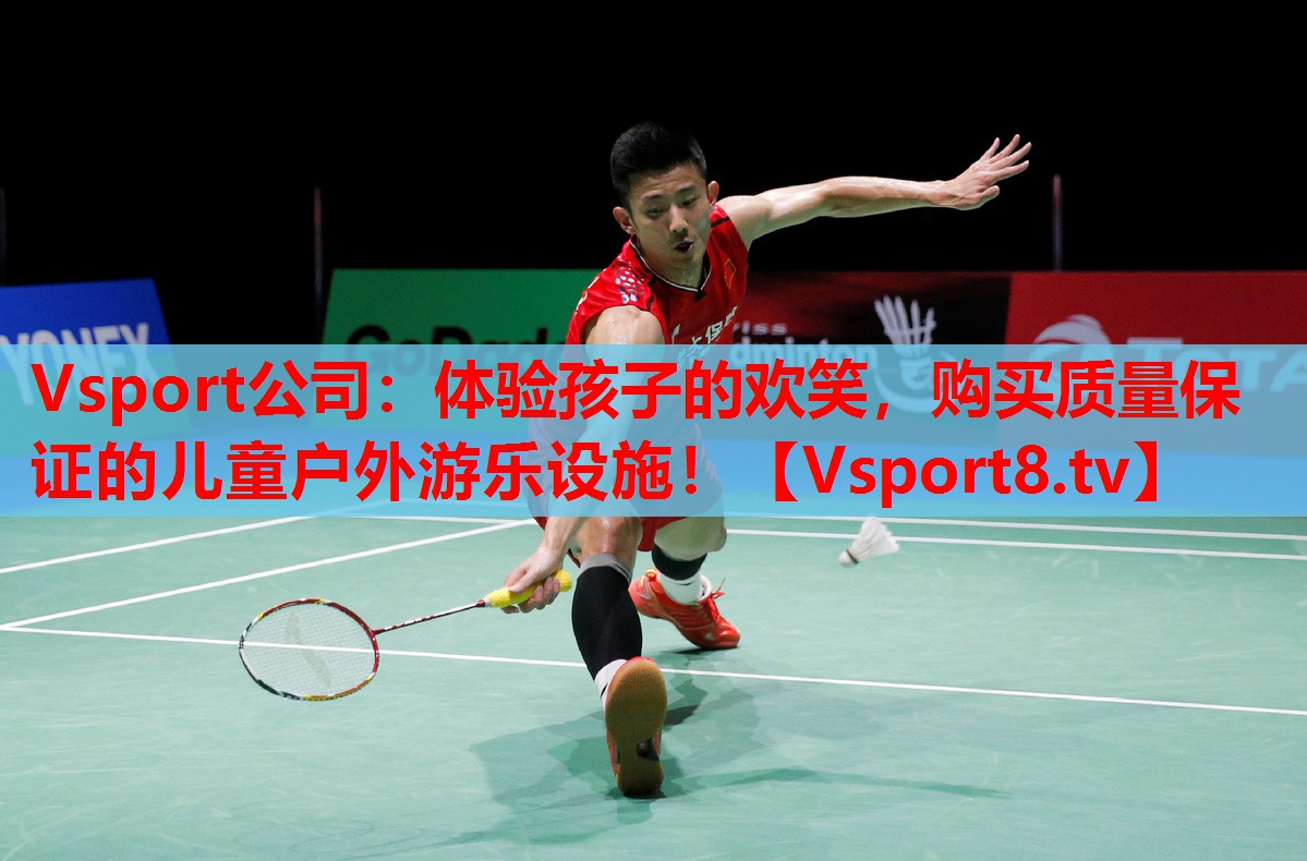 Vsport公司：體驗(yàn)孩子的歡笑，購買質(zhì)量保證的兒童戶外游樂設(shè)施！