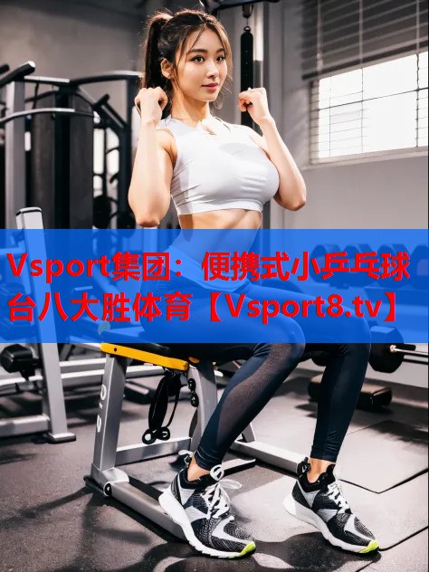 Vsport集團(tuán)：便攜式小乒乓球臺(tái)八大勝體育