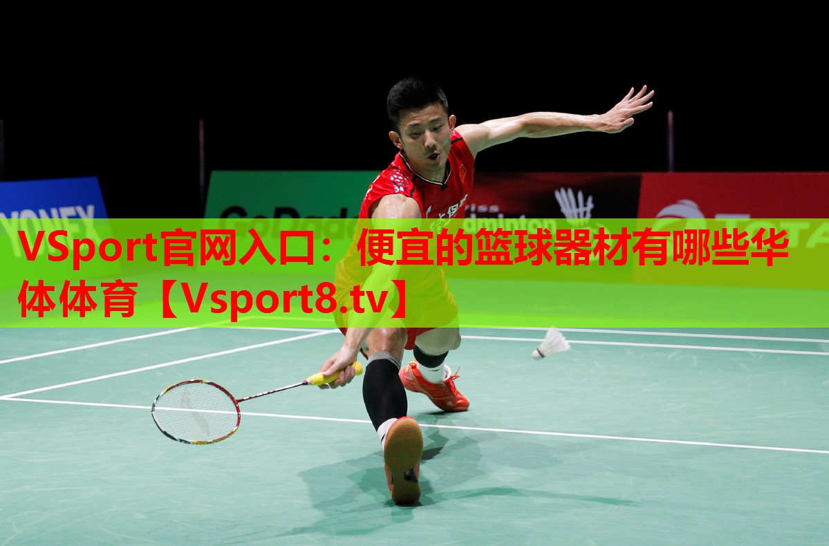 VSport官網(wǎng)入口：便宜的籃球器材有哪些華體體育
